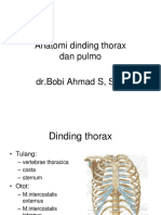 Anatomi Dinding Thorax Dan Pulmo