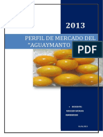 Perfil de Mercadotecnia Aguaymanto Fresco PDF