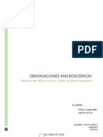 Informe Trabajo Practico #2 - Observaciones Macroscopicas