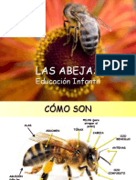 LAS ABEJAS.pptx