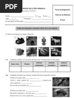 Ficha de diagnóstico de cn 5º
