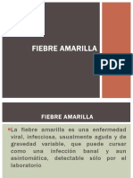 Fiebre Amarilla