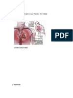 Laporan Pendahuluan Angina Pectoris