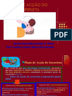 Plano de Acção Do Socorrista - Powerpoint