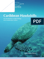 Monograph Caribbean Hawksbills - WWF D Chacon 2005