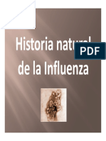 208901696-Historia-Natural-de-La-Influenza.pdf