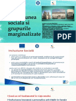 Incluziunea Sociala Si Grupurile Marginalizate