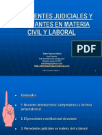 Corte San Martin Precedentes Judiciales y Vinculantes Ppt Tarapoto 28mar2014