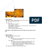 Clostridium (1)Ia