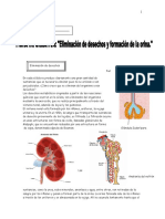 Guia Informativa