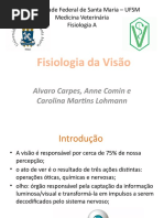 Fisiologia Da Visão
