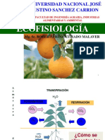 ECOFISIOLOGIA - FOTOSINTESIS - C3 C4.pptx