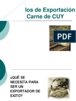 Expo_Cuy_ADEX.ppt