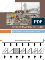 Tema 5 - Deshidratacion Del Gas