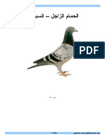 Homingpigeons PDF