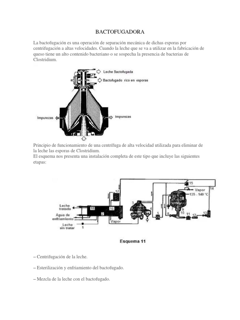 Bac To Fug Adora | PDF | Leche | Bomba
