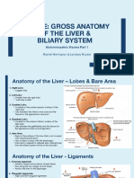 Table e - Liver Anatomy Biliary System
