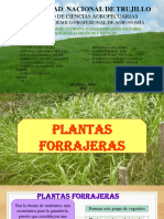 Características de Una Buena Planta Forrajera. Factores Ecológicos Climáticos Y BIOTICOS