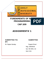 Fundaments of Web Programming CAP 209: Assignment# 1