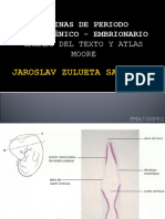 Laminas de Embrio-- Jzs