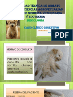 Digestivo Semiologia