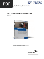 SAP CRM Middleware Optimization Guide: Juliane Bode, Stephan Golze, Thomas Schröder