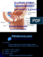 Aspek Obstetri & Ginekologi: Infeksi Saluran Kemih Bagian Bawah