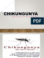 Baru Chikungunya