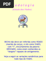 Viadologia