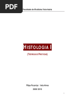 Resumos de Histologia I