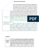 Deforestación e Impacto Ambiental