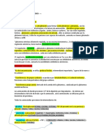 55489826-BIOSINTESIS-AMINOACIDOS-RESUMEN.docx