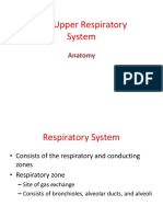 The Anatomy and Functions of the Upper Respiratory System