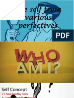 The Self From Various Perfectives