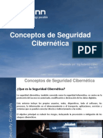 Seguridad Cibernetica