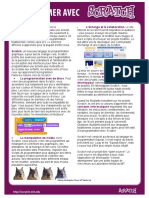 programmer.pdf