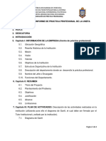Anexo L - Estructura Del Informe de Practica Profesional