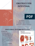 Obstruccion Intestinal Trabajo