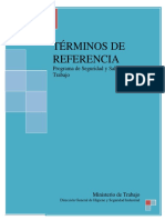 Terminos de Referencia para El Sistema de Gestion de La Seguridad y La Salud en El Trabajo