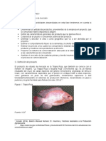 Estudio de mercado de tilapia roja orgánica