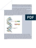 Pengertian DNA Asam Deoksiribonukleat