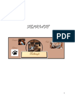 Feli Cafe 2010 PDF