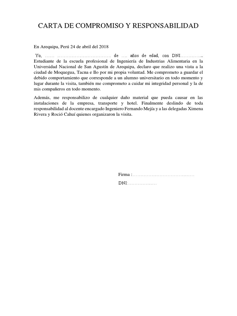 Carta de Compromiso y Responsabilidad