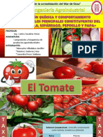 Tomate y Cebolla (1)