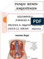 Fungsi Renin-Angiotensin