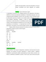 Descrições petrográficas de unidades litoestratigráficas encontradas