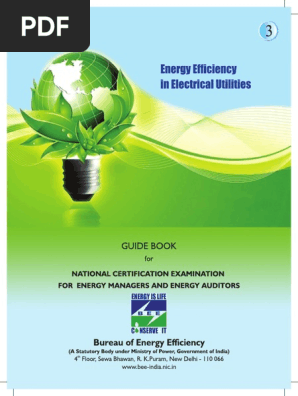 Energy Efficiency in Electrical Utilities 