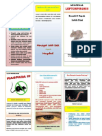 Leaflet Leptospirosis