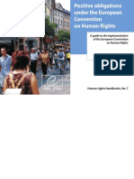 handbook]_Positive_obligation.pdf