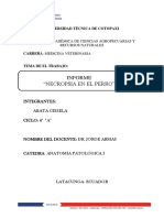 319744391-Informe-Necropsia-Del-Perro.pdf